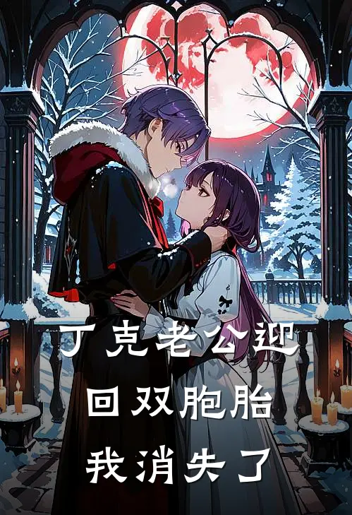 丁克老公迎回双胞胎，我消失了